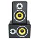 PDSM5 ACTIVE STUDIO MON.5" PAIR(coppia)